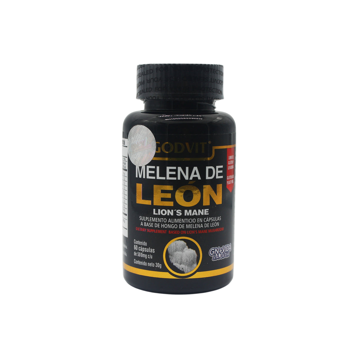 Melena de León Godvit - frente