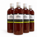 Paquete de 4 botellas de shampoo de romero de 1 litro, Nutrición y Bienestar, sobre fondo blanco